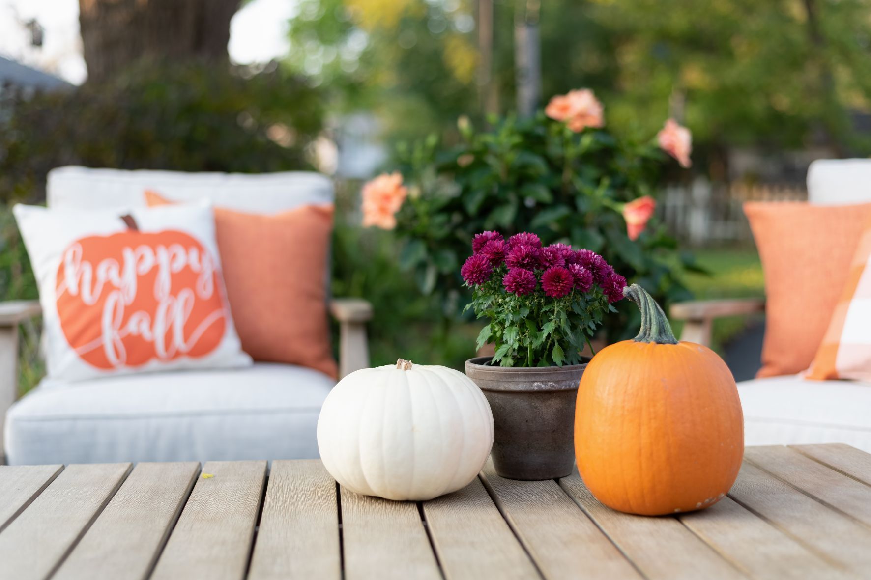 Fall display on florida patio