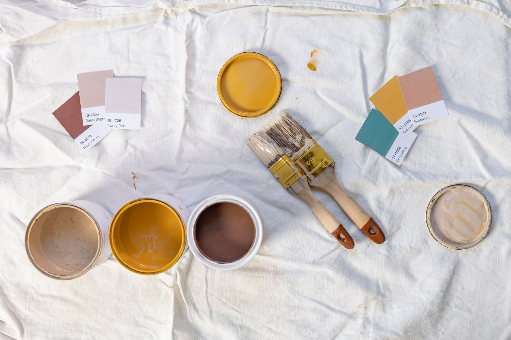 paint swatches and paint