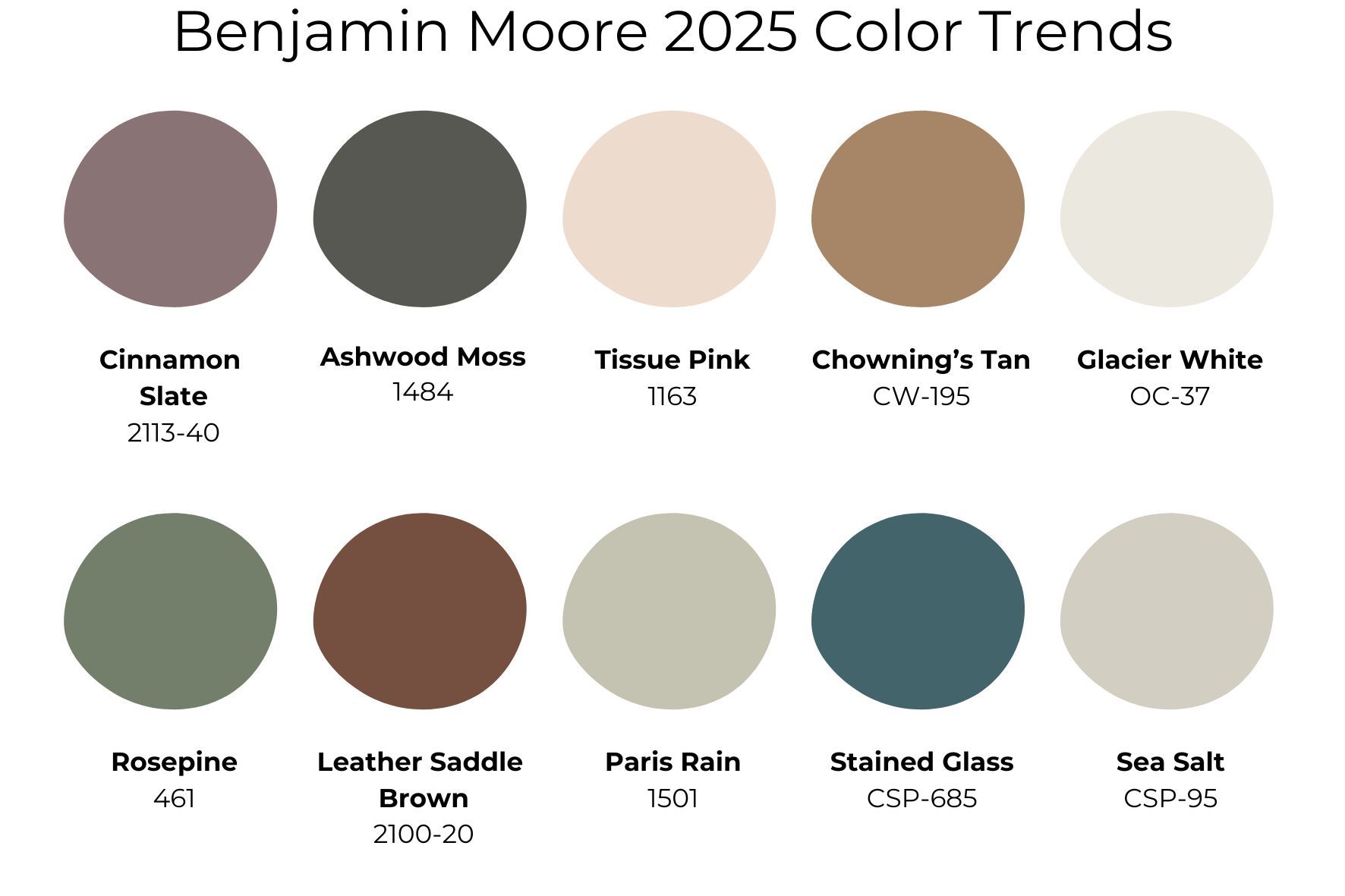 Benjamin Moore 2025 Color Trends