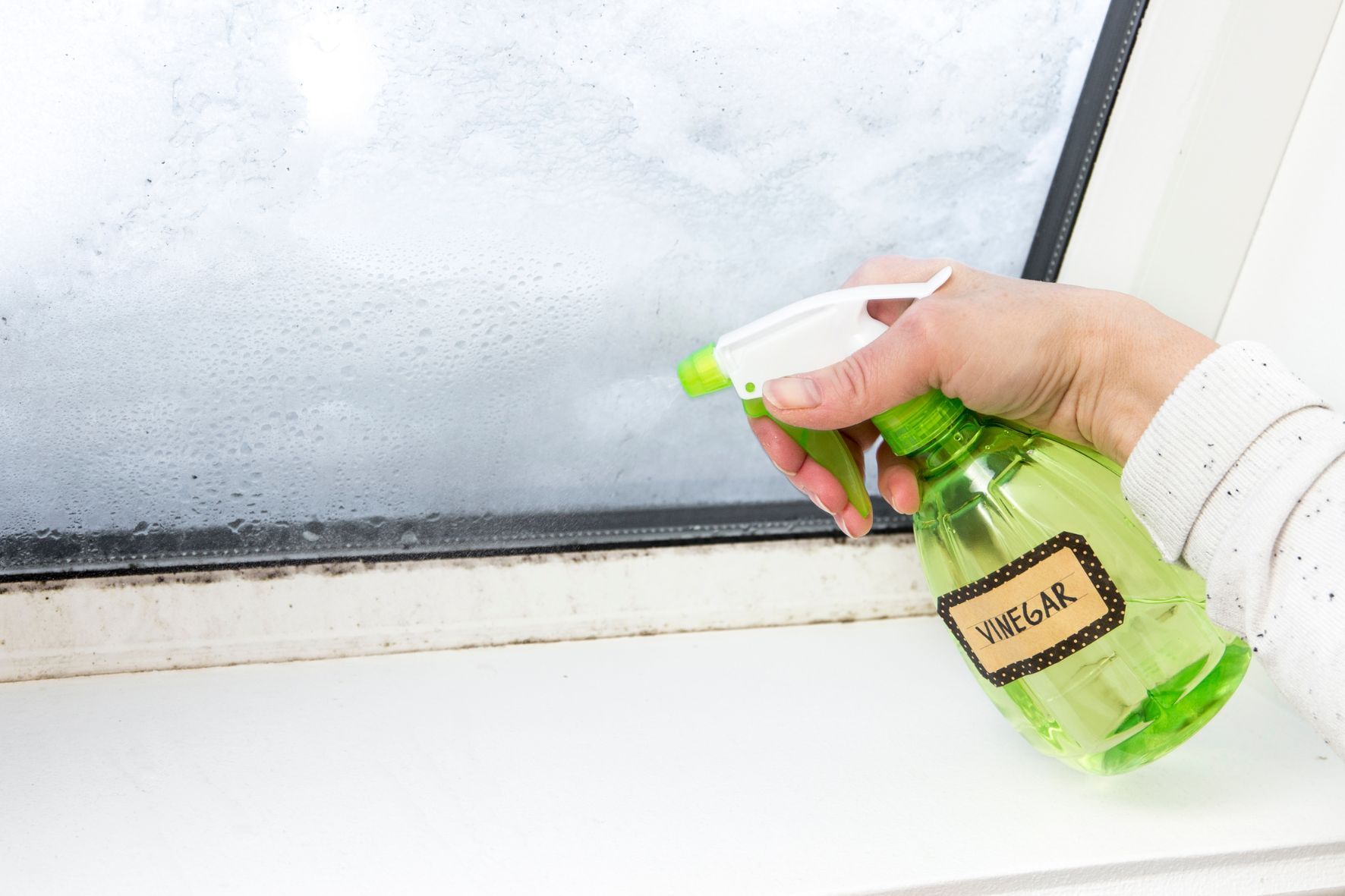 Person cleaning a moldy window with vinegar spray