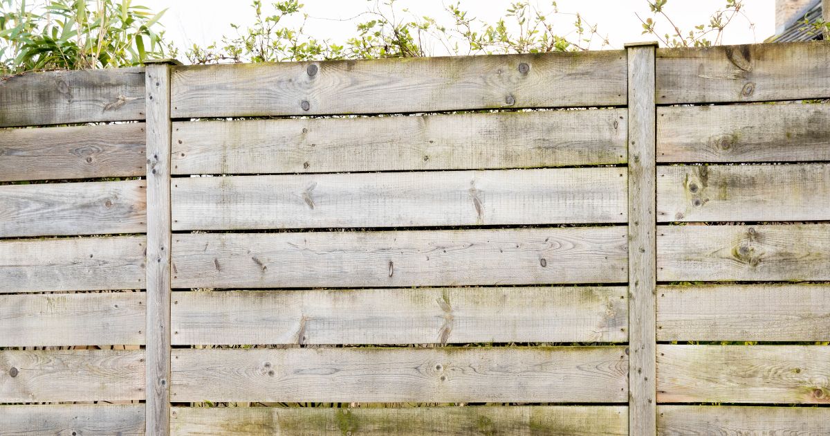 Faded fence with mold - Tru Colors Contracting