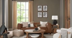Sherwin-Williams Studio Clay Living Room - Tru Colors Contracting Sherwin-Williams Studio Clay Living Room