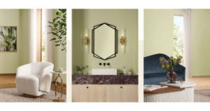 Sherwin Williams color of the year